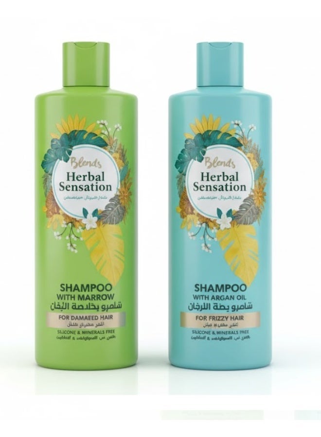 Blends special offer Shampoo with marrow for damaged Hair & Shampoo with Argan Oil for Frizzy Hair 600 ml - Image 1