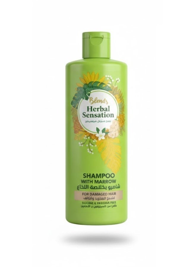 Blends special offer Shampoo with marrow for damaged Hair & Shampoo with Argan Oil for Frizzy Hair 600 ml - Image 2
