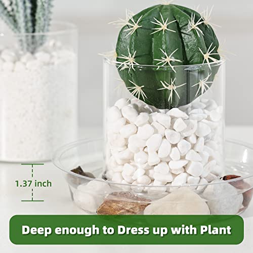TRUEDAYS 20 Pack Plant Saucers (6 inch / 8inch / 10inch / 12inch) Clear Plant Saucers Flower Pot Tray Excellent for Indoor & Outdoor Plants - Image 4