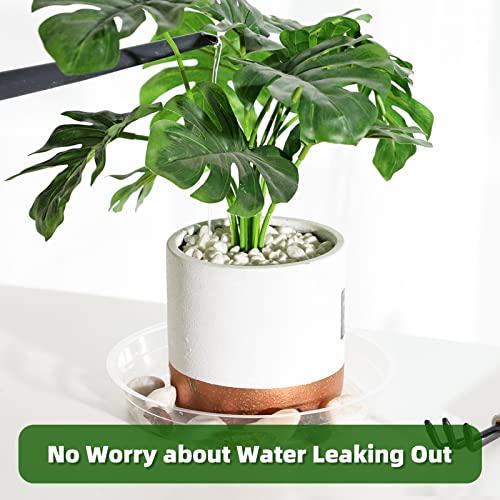 TRUEDAYS 20 Pack Plant Saucers (6 inch / 8inch / 10inch / 12inch) Clear Plant Saucers Flower Pot Tray Excellent for Indoor & Outdoor Plants - Image 5