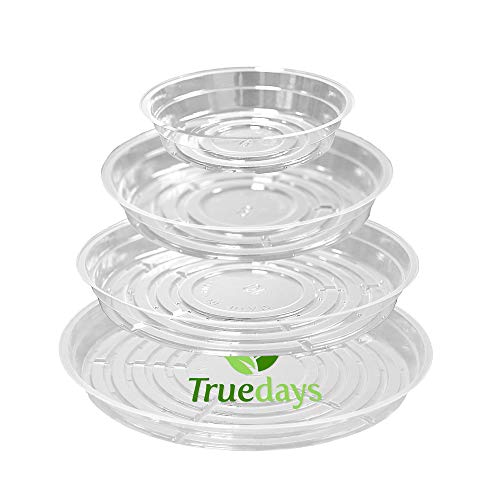 TRUEDAYS 20 Pack Plant Saucers (6 inch / 8inch / 10inch / 12inch) Clear Plant Saucers Flower Pot Tray Excellent for Indoor & Outdoor Plants - Image 1