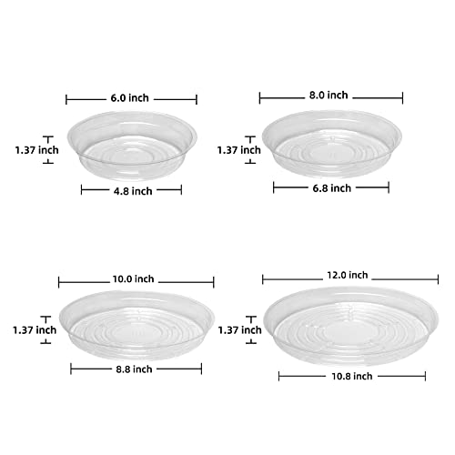 TRUEDAYS 20 Pack Plant Saucers (6 inch / 8inch / 10inch / 12inch) Clear Plant Saucers Flower Pot Tray Excellent for Indoor & Outdoor Plants - Image 3