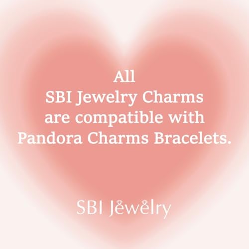 SBI Jewelry I Love Pet Paw Print Charm Compatible with Pandora Charms Bracelets Cat Dog Christmas Family Clear Silver Gift Bead Birthday - Image 3