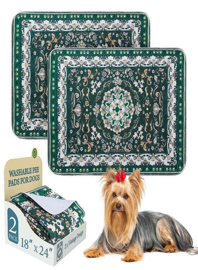 اتش او ام آي أم بي فوط تدريب الكلاب القابلة للغسل من هوميب، عبوتان، فوط قابلة لإعادة الاستخدام للجراء، مقاومة للماء، ماصة، مانعة للتسرب، فوط تدريب مانعة للانزلاق للجراء، حصيرة للحيوانات الأليفة للأرضيات، الأقفاص، الأرائك، أماكن الولادة، لون أخضر، 18 × 24 بوصة - Image 1