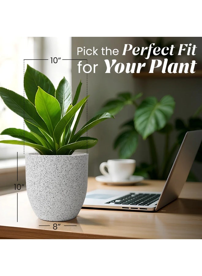 PLANTERS FOXB PCUP Planter - Image 4