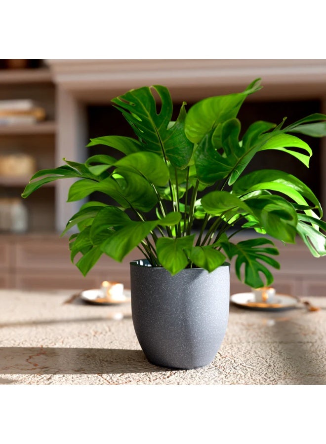 PLANTERS FOXB PCUP Planter - Image 5