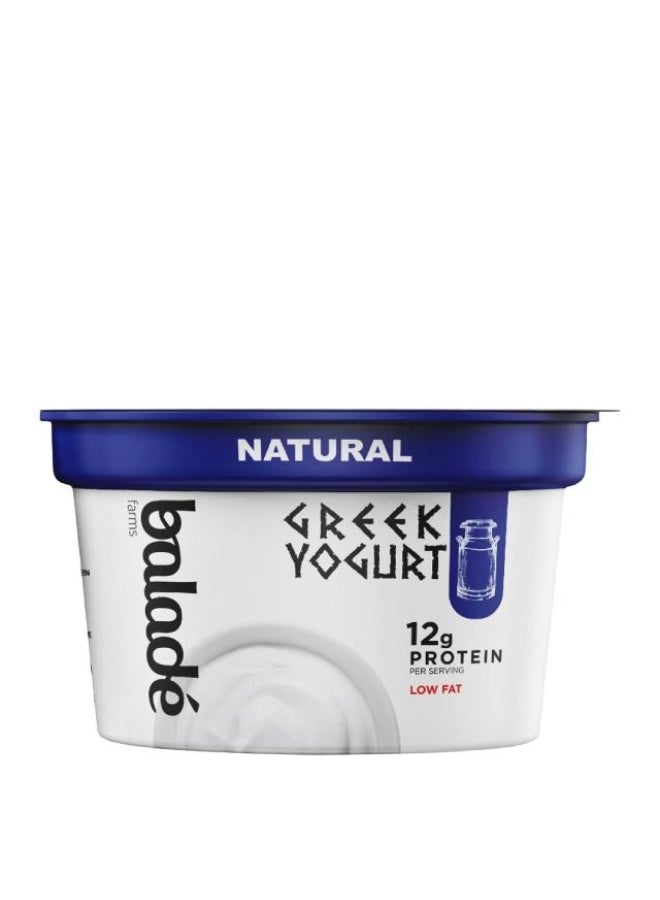 Greek Yoghurt, Plain - 180g, UAE