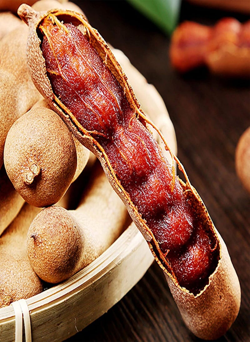 GGOOT Fresh Fruit Seed with 10Pcs/Bag Tamarind Seeds Premium Sweet Prolific Excellent Producing Fruit Seeds for Planting Garden Yard Home Landscaping - Image 4