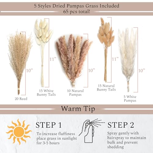 VELOVA Set of 3 White Ceramic Vase with 65 PCS Dried Pampas Grass Flowers Aesthetic Boho Modern Small Round Cute Vases for Decor Living Room Coffee Table Shelf Bedroom Office Desk Home Gifts Women Mom - Image 3