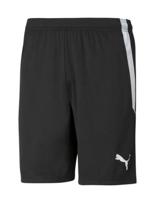 Teamliga Logo Shorts - pzsku/Z30D24B7B28396A7DA12FZ/45/_/1741789711/c0976496-4b28-4f7f-ac42-0cdb11fb93f1