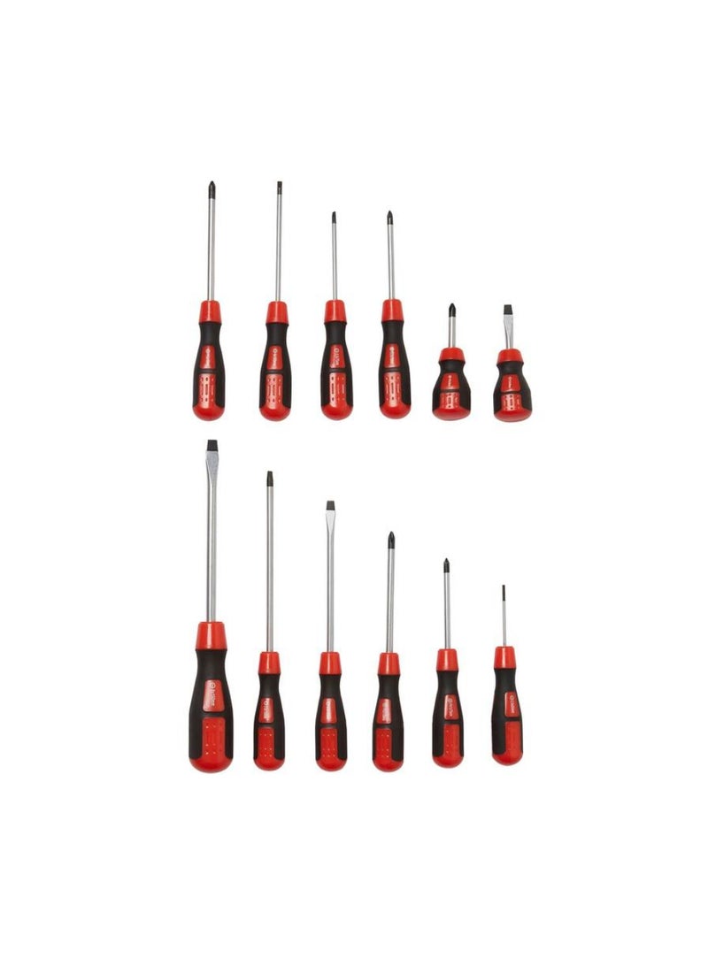 Standard Screwdriver Se12 Piece
