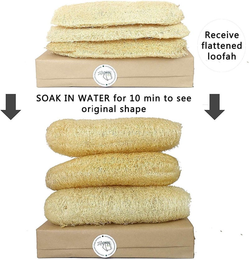 Miw Piw Natural Whole Loofah Dish Sponge (Pack 3) - Multipurpose Dish Sponges - 100% Biodegradable Compostable, Dishwashing Scouring Pad, Zero Waste - Image 1