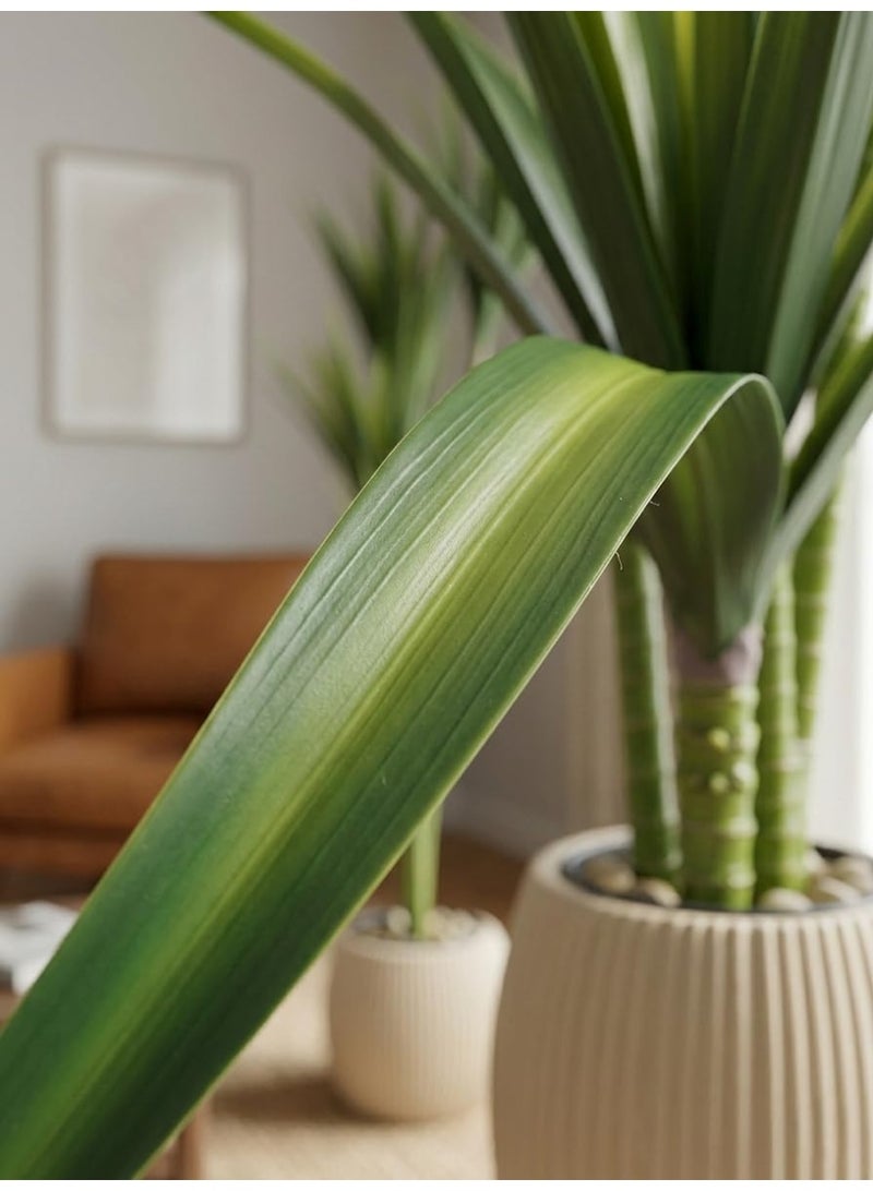 Dracaena 4 Trunk Tree A Realistic Indoor Decorative Tree in a Modern Pot for Living Room Office and Salon - Image 3