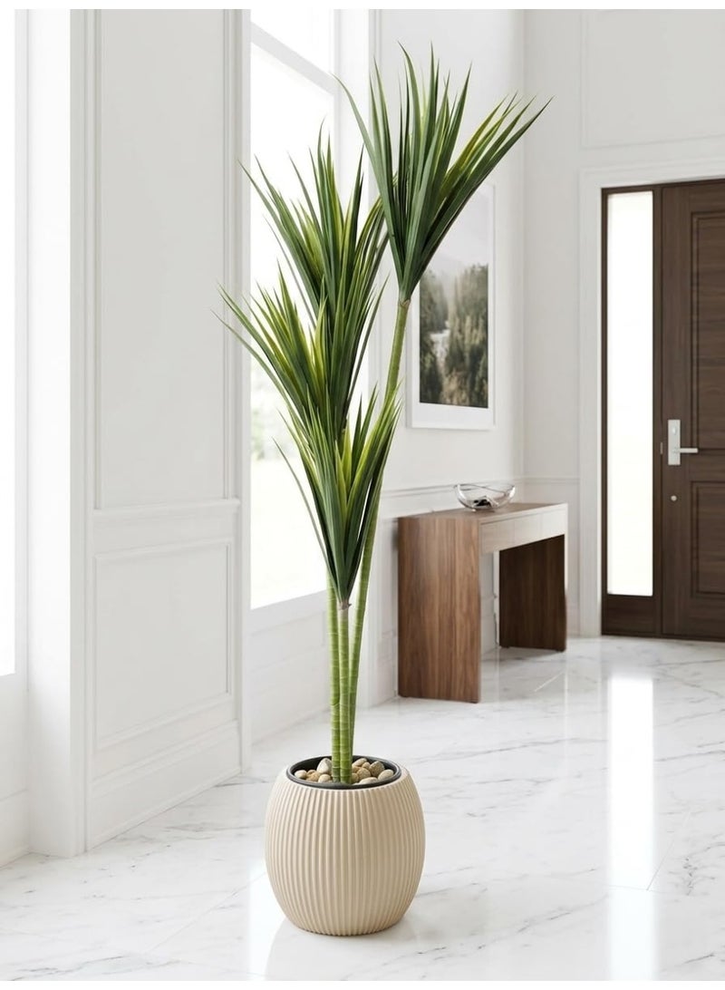 Dracaena 4 Trunk Tree A Realistic Indoor Decorative Tree in a Modern Pot for Living Room Office and Salon - Image 1