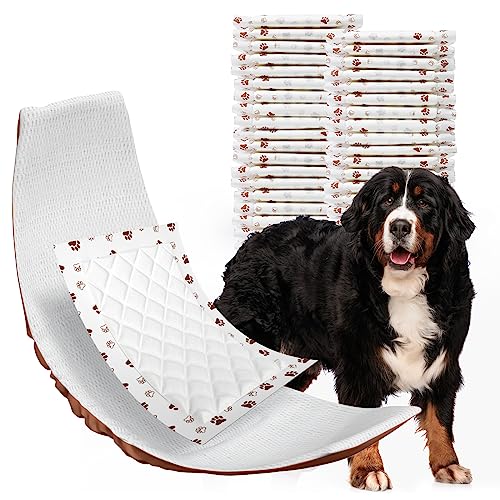 MICOOYO Dog Diaper Liners, Dog Diaper Pads, Disposable Dogs Booster Pads for Puppy, Belly Band Dogs Diapers Liners Male Doggie Diapers Inserts (Paws, XL, 25Count) - Image 1