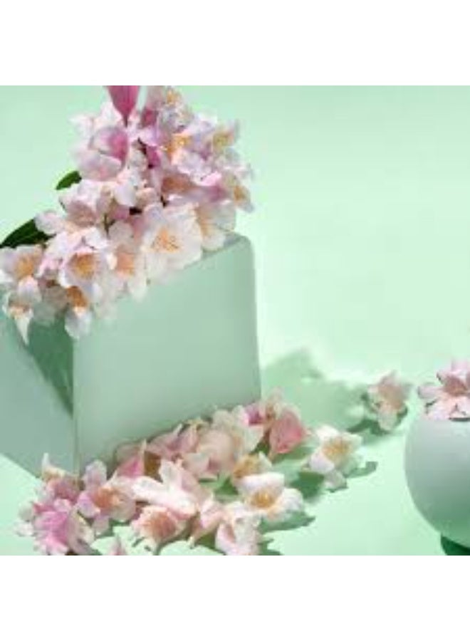 Jowae Jowaé Sakura Blossom Water BB Cream Light Tone 30ml - Image 3