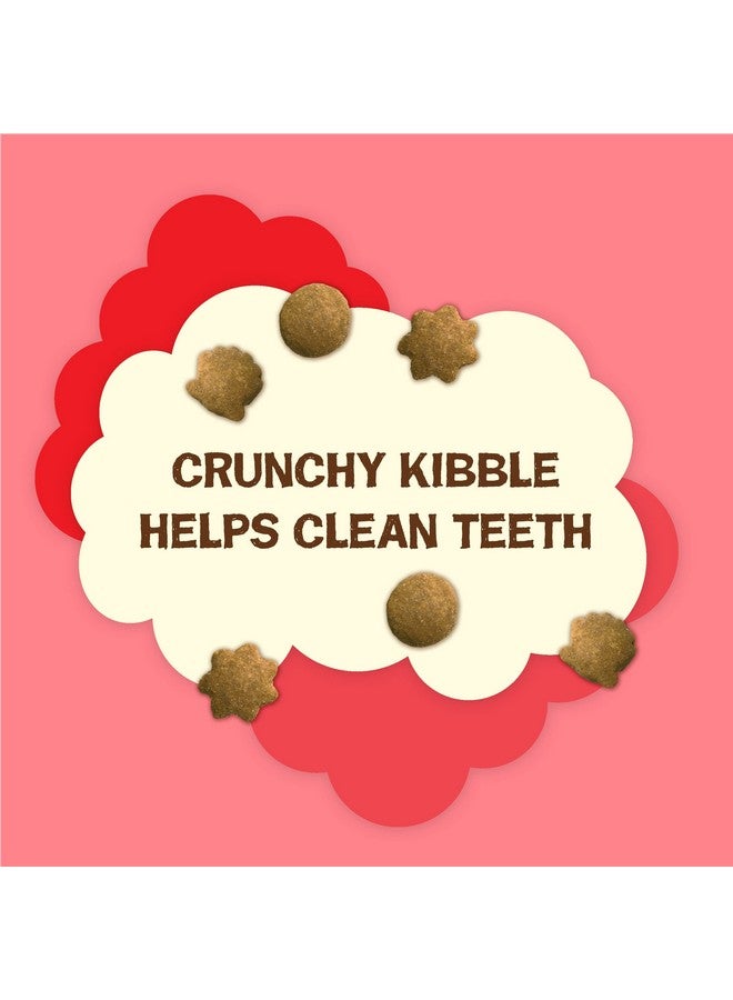 فريسكس بورينا فريسكيز، مكافآت طبيعية للقطط، مزيج حفلات، نكهات طبيعية، مع سمك سلمون حقيقي وفيتامينات ومعادن ومغذيات إضافية - عبوة ٢٠ أونصة - Image 2