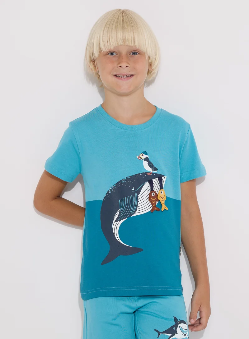 victor and jane Boys' Summer Outfit Set: 2-Piece T-Shirts & Shorts - Blue (2-8 Years)