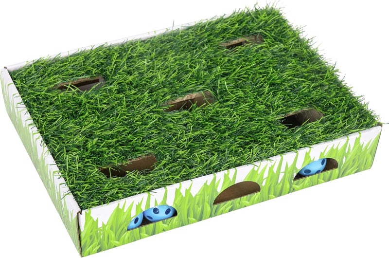 Catstages Grass Patch Hunting Box Cat Toy - Image 1