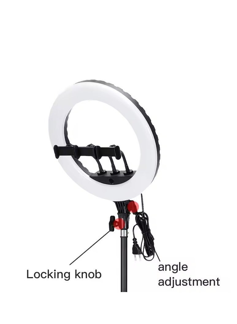 Jmary FM14R 14inch Ring Light Dimmable LED Ring Light for Makeup Photography - Image 2