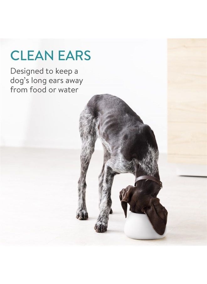 Navaris - Ceramic Dog Bowl - Water & Food Bowl for Dogs with Long Ears - Spaniel Beagle Bassett Hound - No Spill Pet Bowl - White Outside & Blue Inside - Image 1