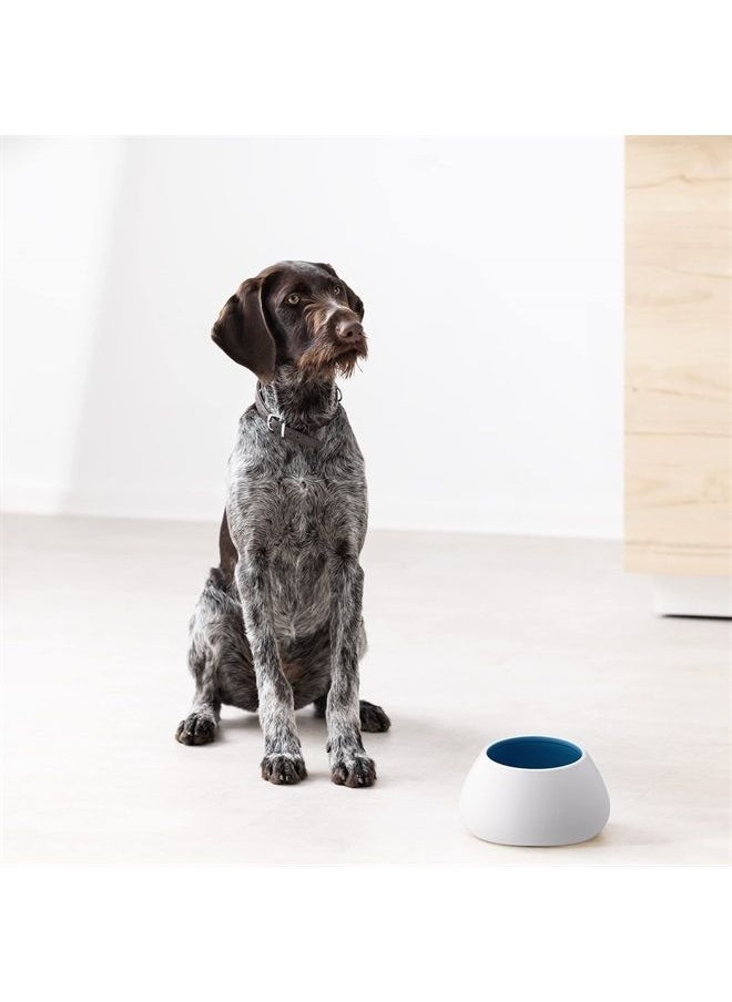 Navaris - Ceramic Dog Bowl - Water & Food Bowl for Dogs with Long Ears - Spaniel Beagle Bassett Hound - No Spill Pet Bowl - White Outside & Blue Inside - Image 1