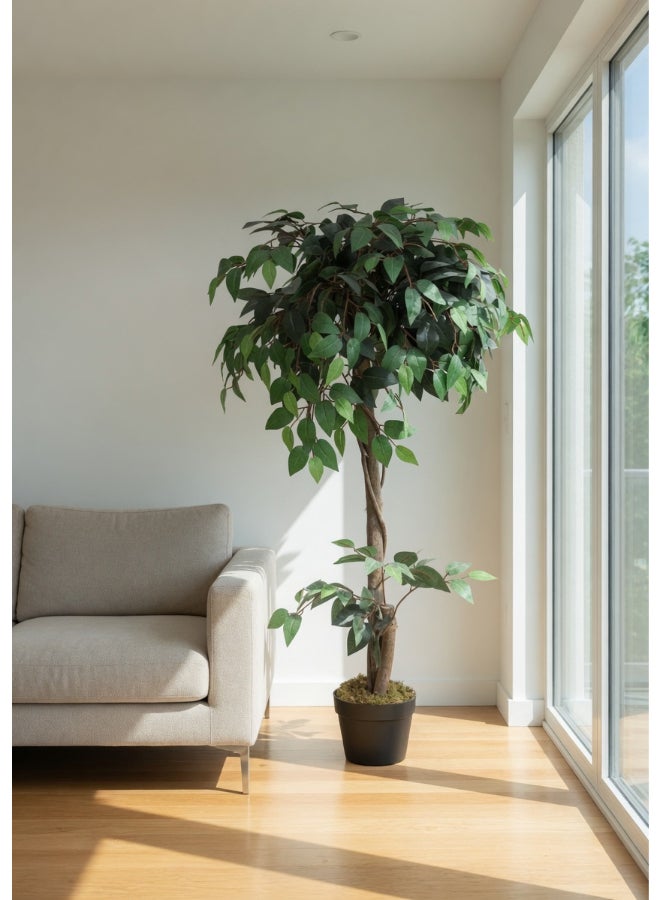 Noon East Ficus 120cm (3.94ft) Artificial Tree with Pot | Floor Plant with Lifelike Design & Texture - Green | Decorative Indoor Tree for Home, Living Room, Study & Office spaces - Image 2