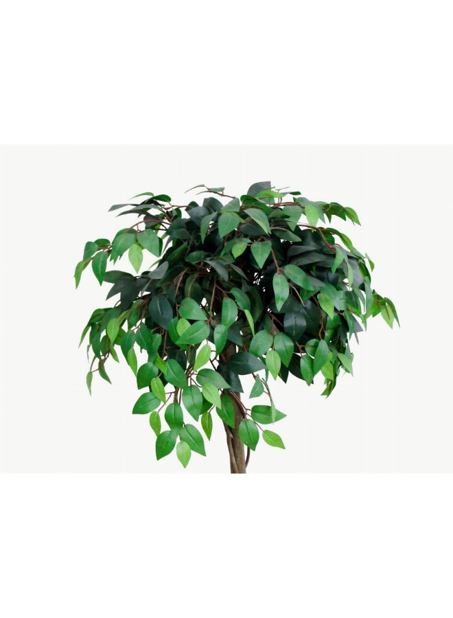 Noon East Ficus 120cm (3.94ft) Artificial Tree with Pot | Floor Plant with Lifelike Design & Texture - Green | Decorative Indoor Tree for Home, Living Room, Study & Office spaces - Image 5