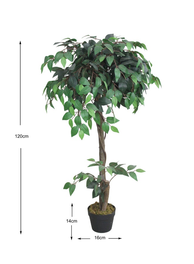 Noon East Ficus 120cm (3.94ft) Artificial Tree with Pot | Floor Plant with Lifelike Design & Texture - Green | Decorative Indoor Tree for Home, Living Room, Study & Office spaces - Image 4