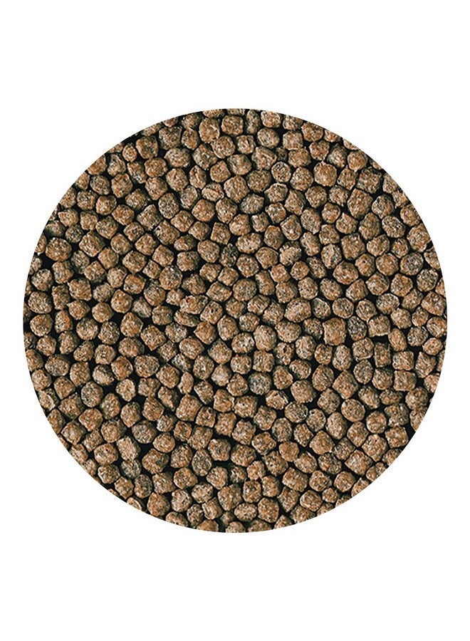 هيكاري طعام سمك هيكاري ستابل بيبي بيليه 3.5 أونصة - Image 4