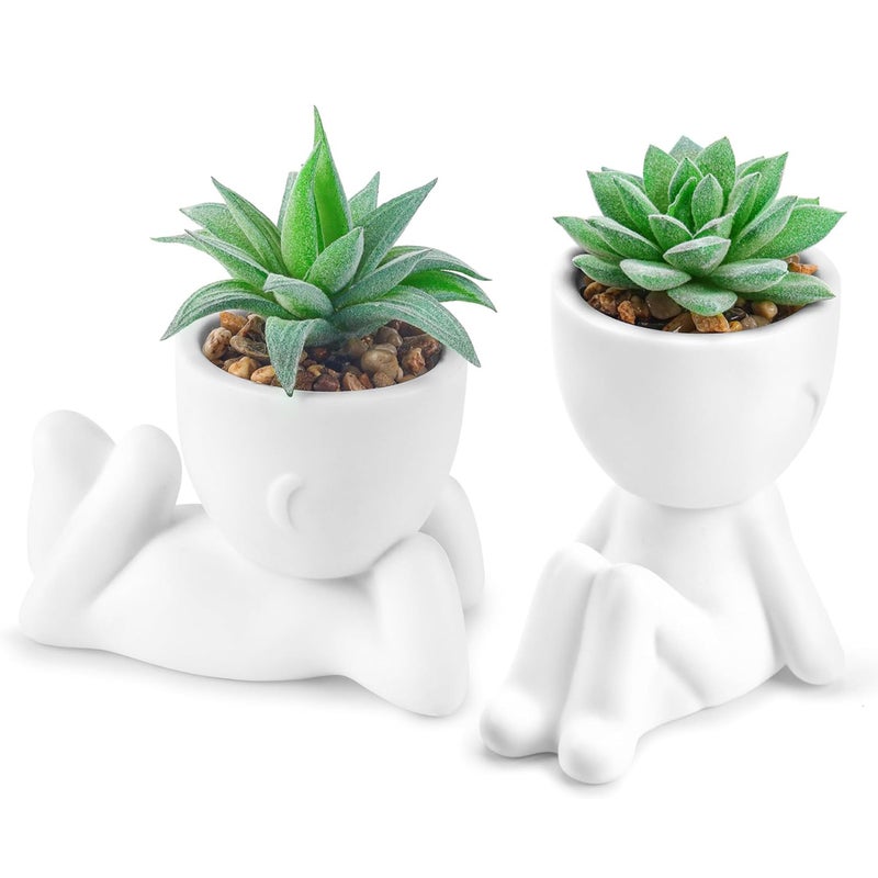 Der Rose 2 Pack Fake Plants Succulents Plants Artificial for Living Room Home Bathroom Office Decor - Image 1