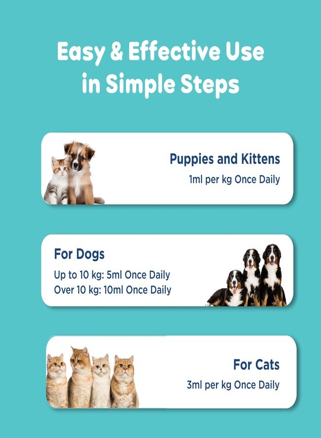 Pil Calpil Pet Syrup for Dogs & Cats | Multivitamin Syrup for Healthy Skin, Stronger Bones & Faster Growth | Nutritional Supplement with Vitamins & Minerals (200ml Each, Pack of 2) - Image 5