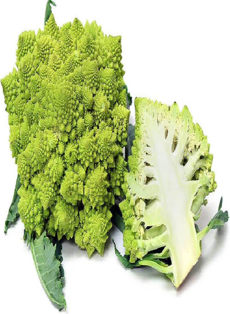 GGOOT Cauliflower, Romanesco 100 (3.33g's) Vegetable Seeds - Image 2