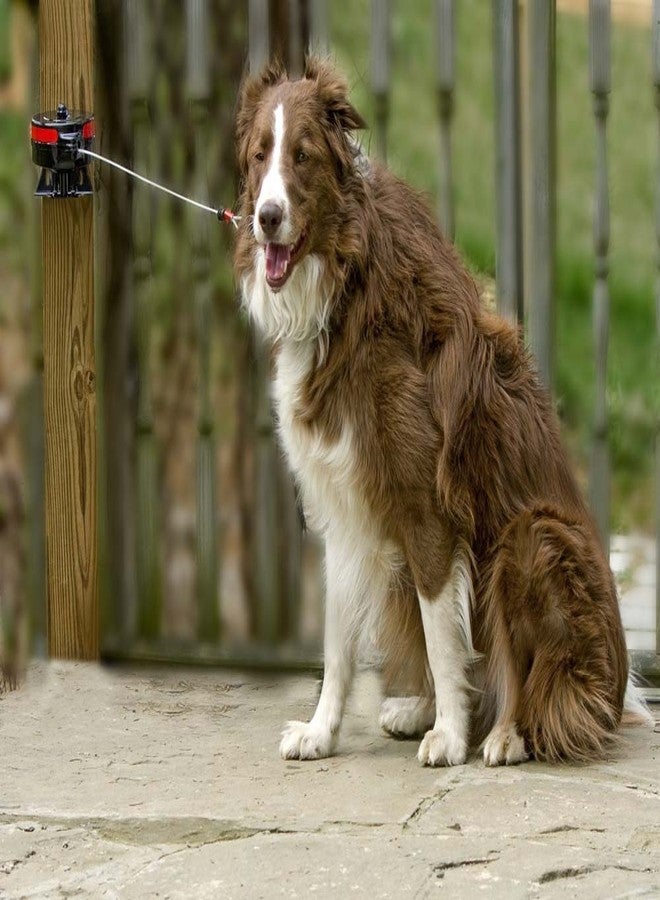 Lixit® Bracket Mount and Stake Retractable Leash Tie Outs for Dogs (Large (Pack of 1), Bracket) - Image 3