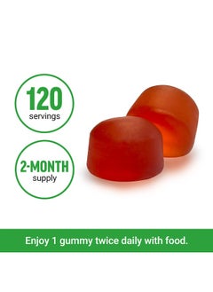 Force Factor Force Factor, ProbioSlim®, Keto ACV Gummies, Apple, 120 Gummies  - Image 3