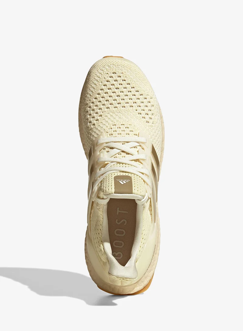 Adidas Ultraboost 1.0