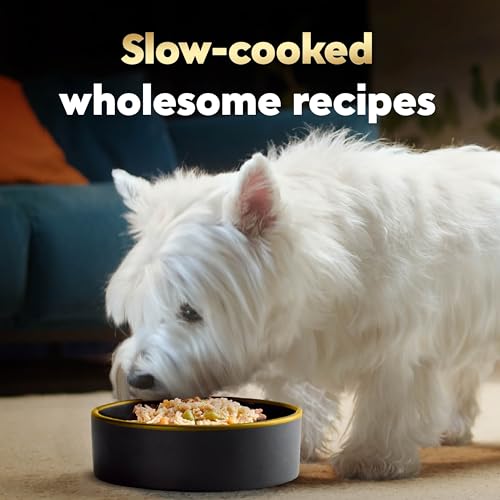 Cesar Wholesome Bowls Adult Wet Dog Food, Chicken, Apple & Sweet Potato Recipe, Wet Food for Dogs, 3 oz. Bowls, 10 Count - Image 3