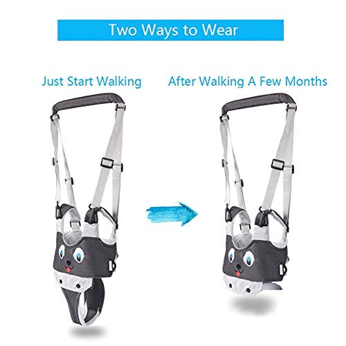 IULONEE Baby Walker, Handheld Kids Toddler Walking Harness Helper Assistant Protective Belt Child Activity Walker Adjustable Standing Up Walking Learning Helper for Toddler 7-24 Month (N-Grey) - Image 3