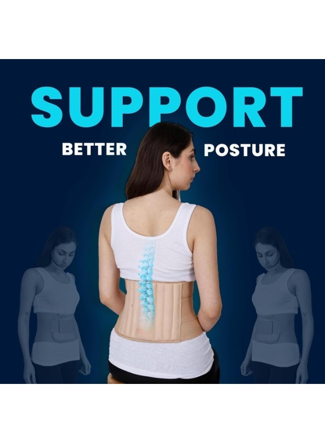 حزام دعم أسفل الظهر الطبي – مع 6 دعامات مقاومة للانزلاق وحزام مزدوج قابل للتعديل – لتخفيف ألم العصب الوركي، الانزلاق الغضروفي والانحناء الجانبي للعمود الفقري – مقاس صغير - Image 2