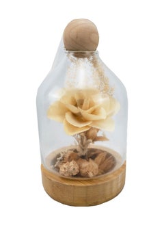 Forever Rose Forever Glass Rose Romantic and Meaningful Preserved Rose