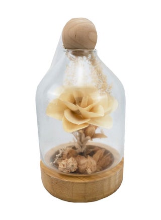 Forever Rose Forever Glass Rose Romantic and Meaningful Preserved Rose - pzsku/Z30E41DBABB1F7B09E162Z/45/_/1666162578/8ad82f80-125a-4f07-b704-d239964ec2f8