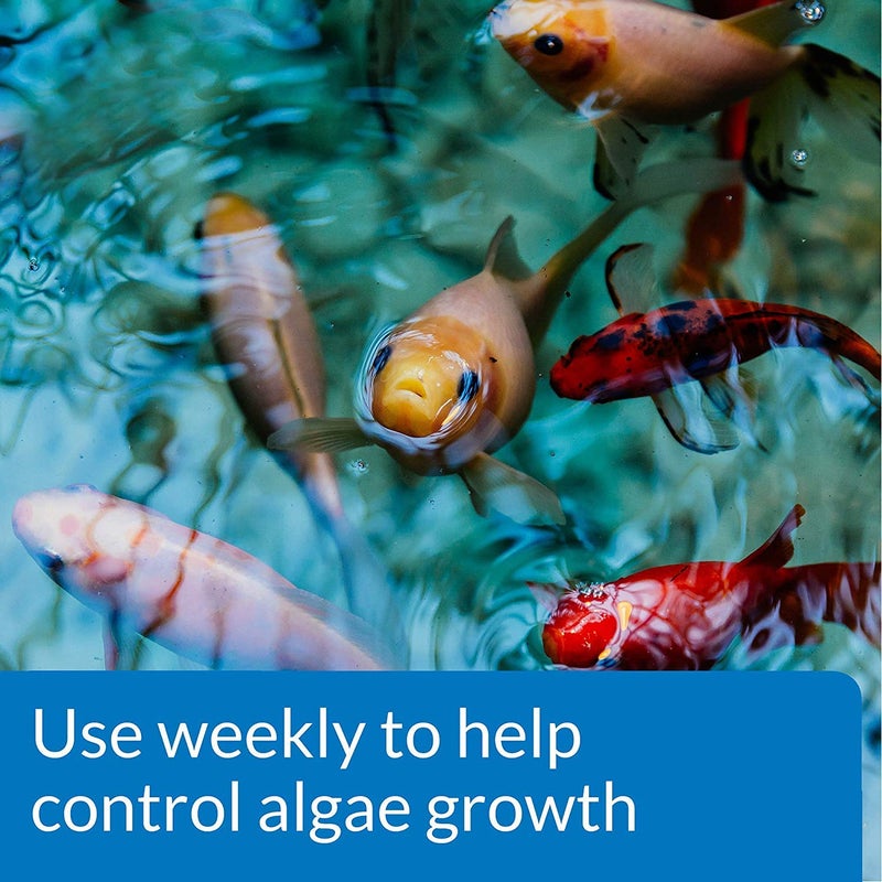API POND ALGAEFIX Algae Control 64-Ounce Bottle (FF-169D) - Image 2