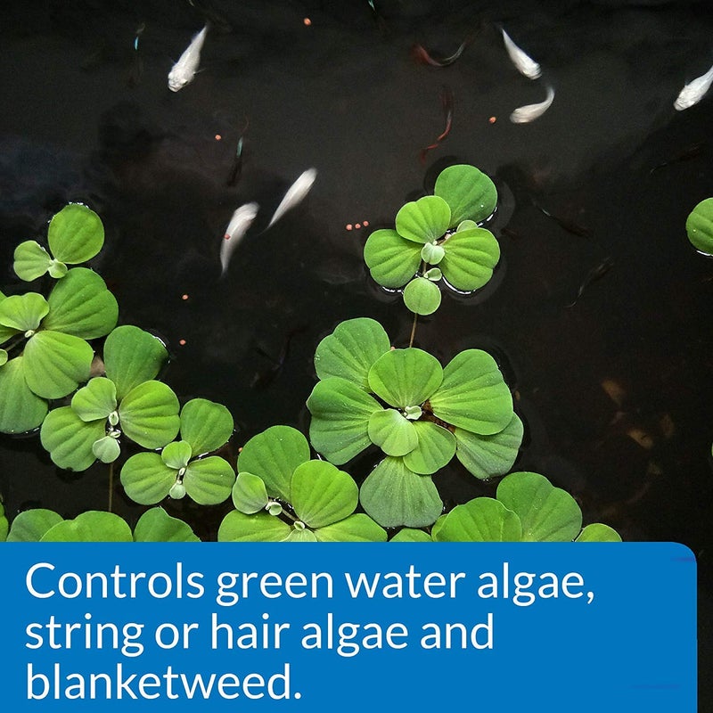 API POND ALGAEFIX Algae Control 64-Ounce Bottle (FF-169D) - Image 3