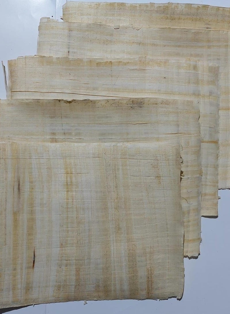 5 اوراق بردية مصرية فارغة للمشاريع الفنية والمدارس 12 × 16 انش (30 × 40 سم) - Image 2