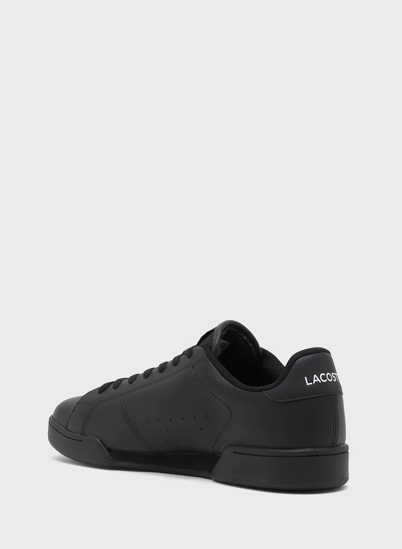 لاكوست Court Low Top Sneakers