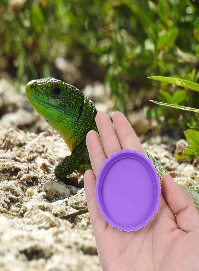 Eldraqth 6 Pcs Gecko Food Cups, Crested Gecko Food and Water Bowl Reusable Silicone Crested Dish Feeding Cups for Lizard Anoles Bearded Dragons Tank Terrarium Accessories Supplies for Tortoise - Image 4