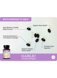 Garlic Odorless Softgels 1500Mg Support Teeth & Immune System Health With Antioxidants & Bee Pollen For Everyday Wellness Black 60 Count - pzsku/Z30E6F159B15542F01C0CZ/45/_/1695145721/6512505d-96ca-439e-9bb0-7c005e1924db