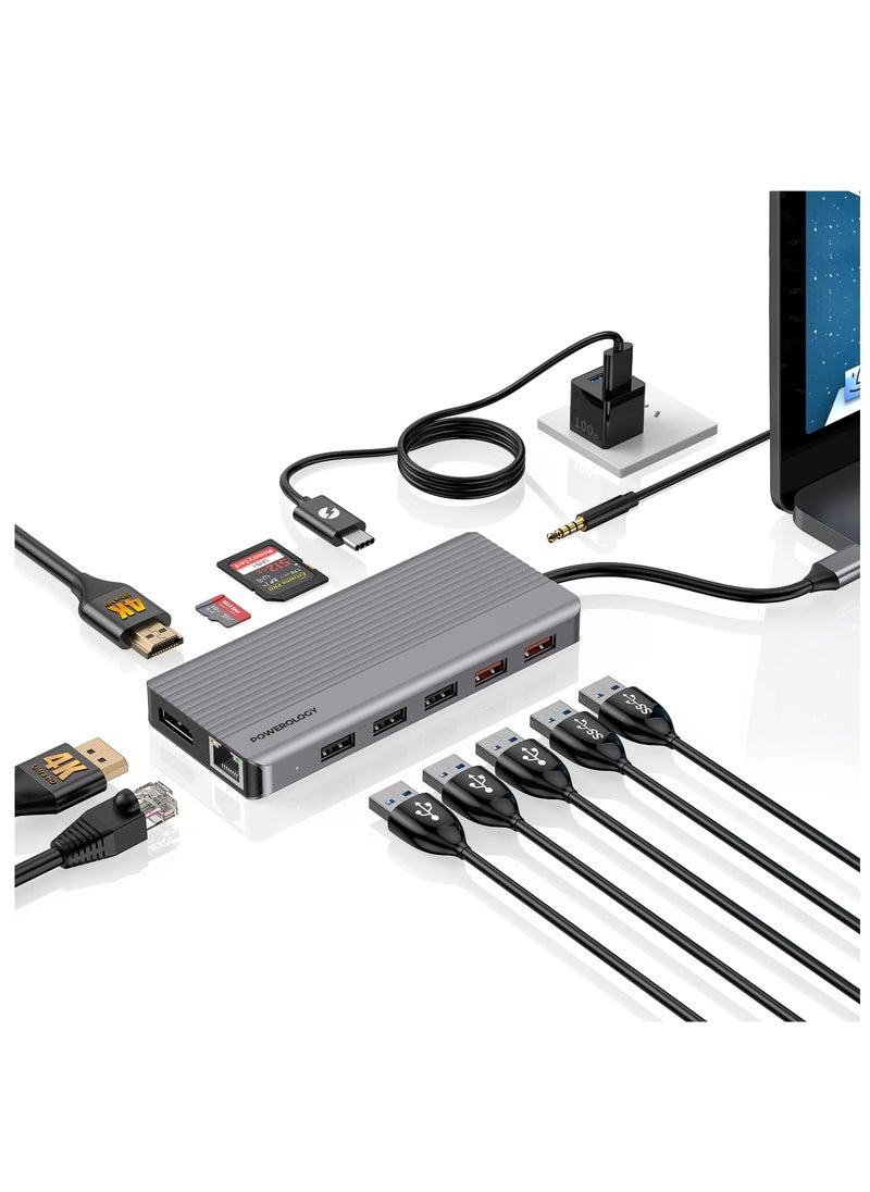Powerology - 12in1 USB-C Hub HDMI Type-C 100W PD Ethernet VGA USB SD MicroSD 3.5AUX - Dark Gray - Image 1