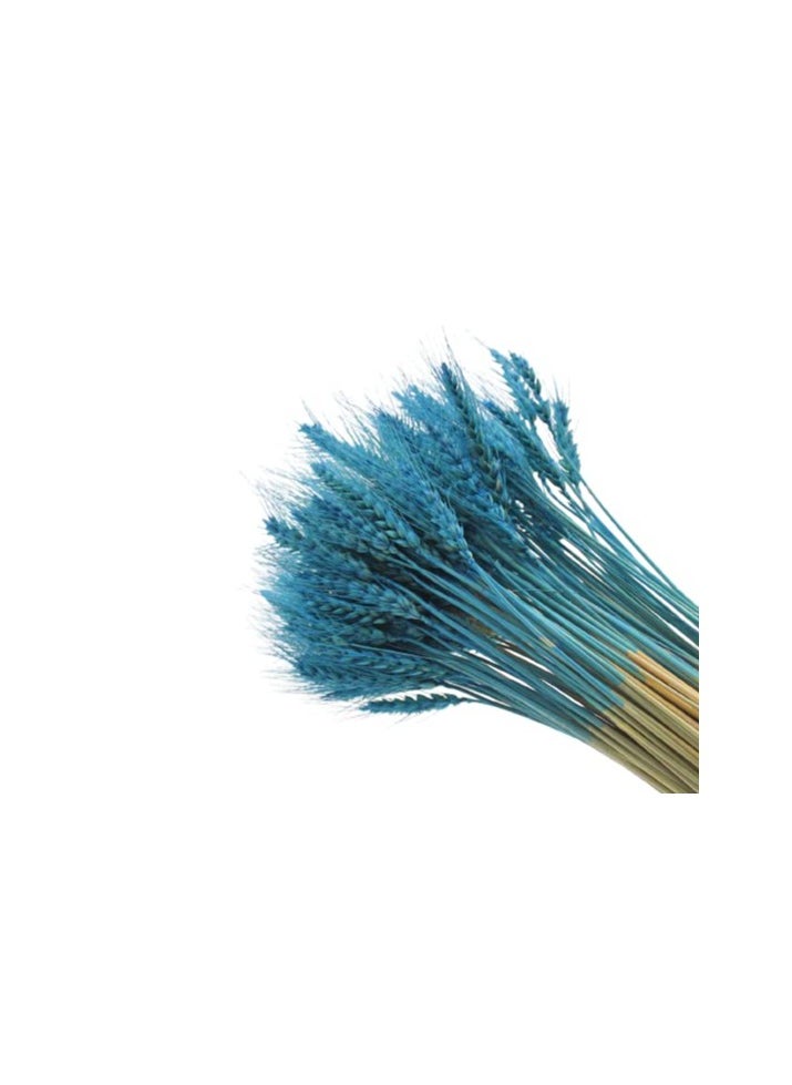 Generic Fancy Dry Wheat Grass Bouquet Natural Dried Flowers (nlile blue 100)  - Image 3
