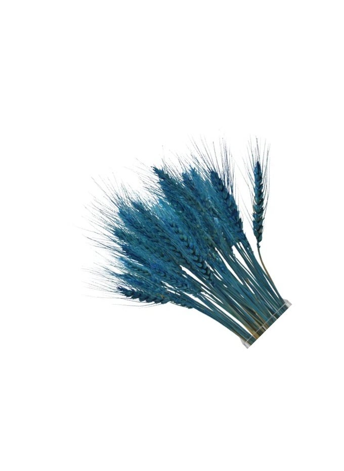 Generic Fancy Dry Wheat Grass Bouquet Natural Dried Flowers (nlile blue 100)  - Image 5